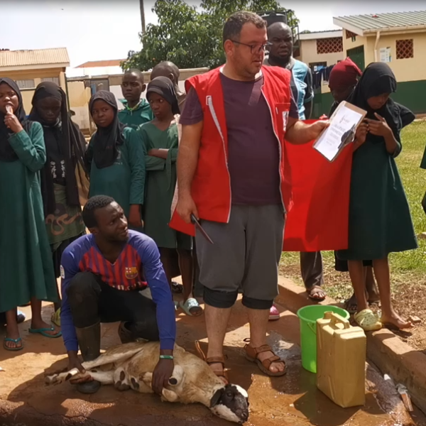 Adak Akika Şükür Kurban Kesimleri